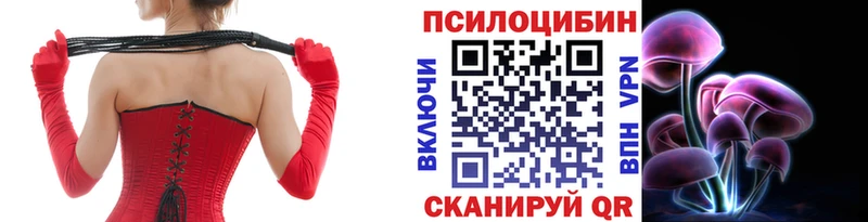 закладки  Октябрьск  Псилоцибиновые грибы Psilocybe 
